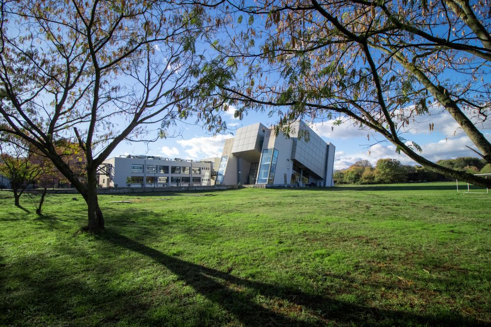 School of Physical Education, Sport Science and Dietetics