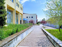 Department of Civil Engineering